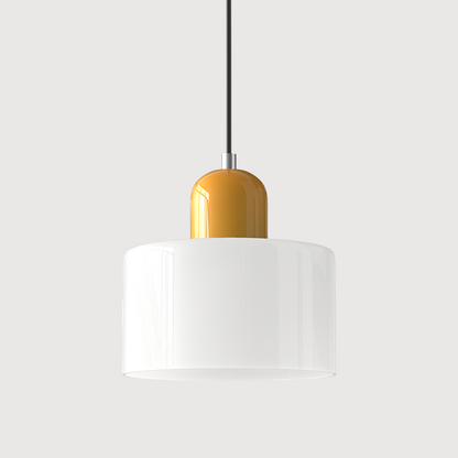 Selvra Glass Globe Pendant Light – Nordic Adjustable Ceiling Lamp for Modern Interiors