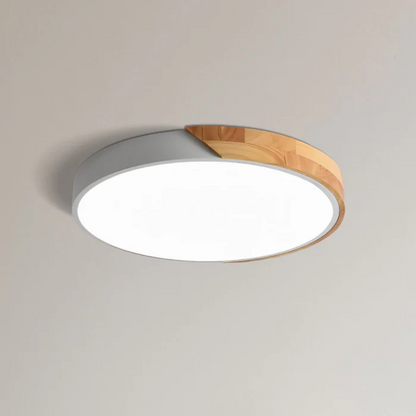 Arden Scandinavian Flush Mount LED Ceiling Light for Cozy Ambiance