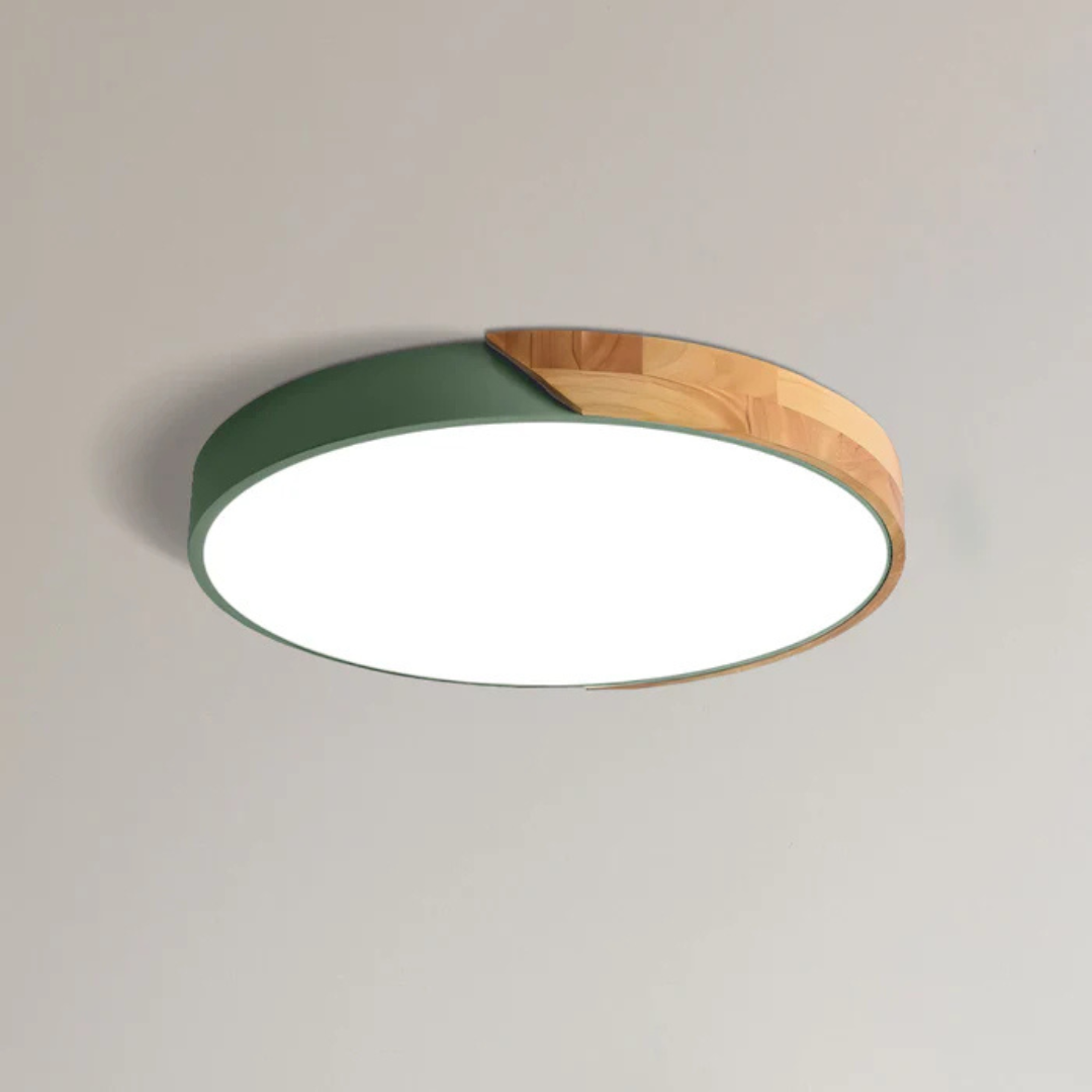 Arden Scandinavian Flush Mount LED Ceiling Light for Cozy Ambiance