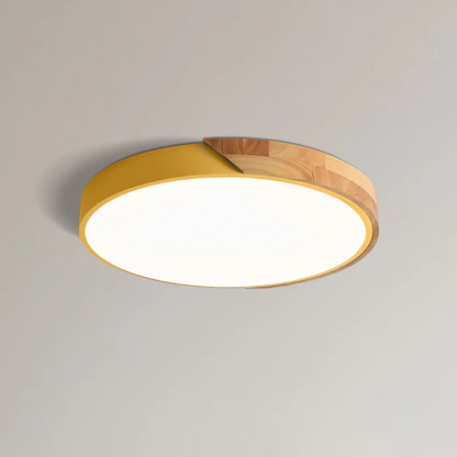Arden Scandinavian Flush Mount LED Ceiling Light for Cozy Ambiance