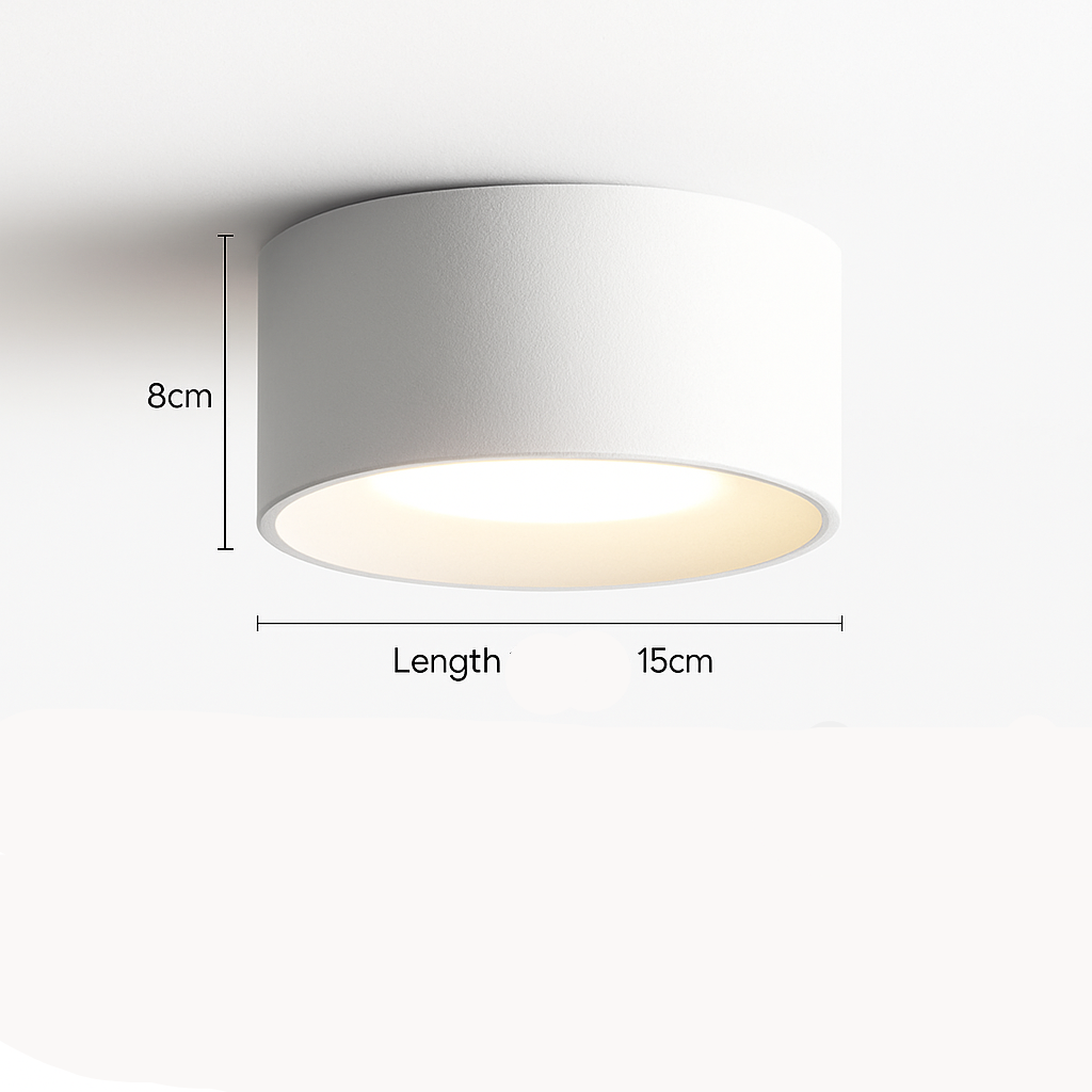 Alyra Modern LED Ceiling Light – Minimalist Frosted Design for Soft Illumination