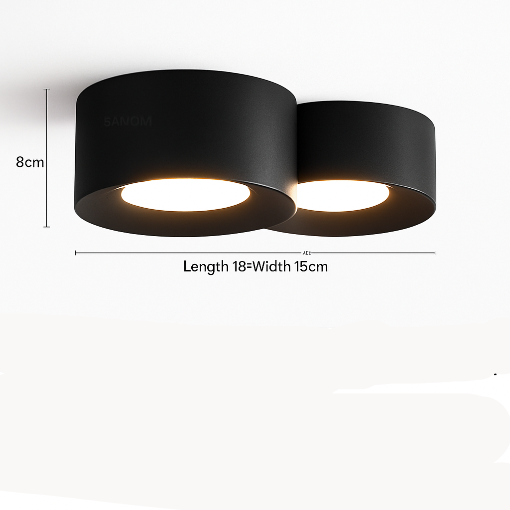 Alyra Modern LED Ceiling Light – Minimalist Frosted Design for Soft Illumination