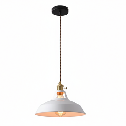 Evy Industrial Kitchen Pendant Lighting – Colorful Adjustable Hanging Light