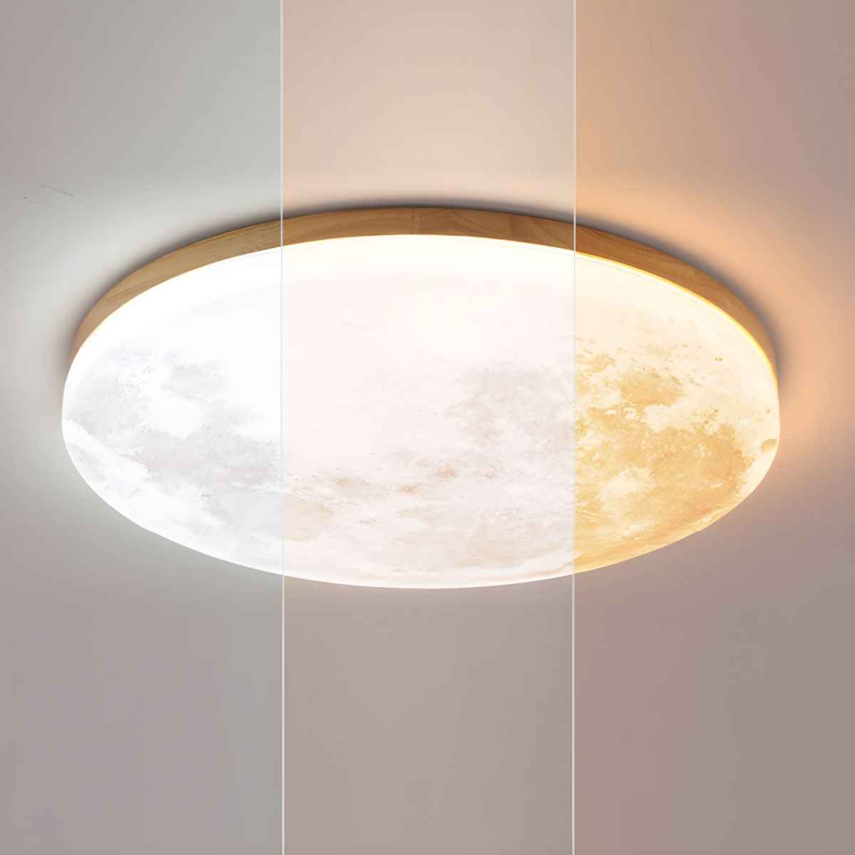 Maple Circle LED Ceiling Light for Warm Minimalist Interiors