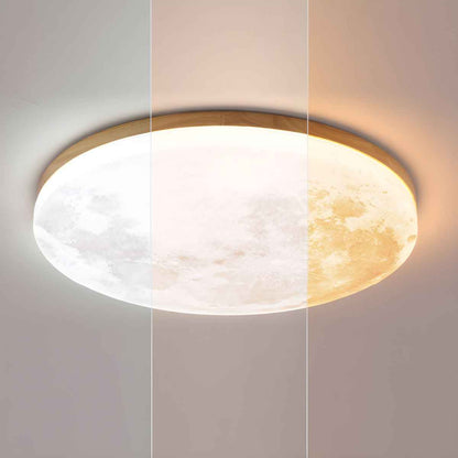 Maple Circle LED Ceiling Light for Warm Minimalist Interiors