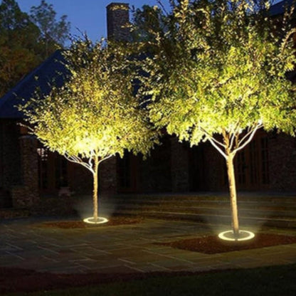 Sylvara Outdoor LED Spotlight for Trees and Garden Landscape Lighting