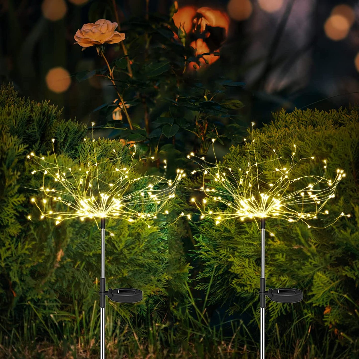 Virella Vibrant Solar Garden Lights for Outdoor Patio and Garden Decor